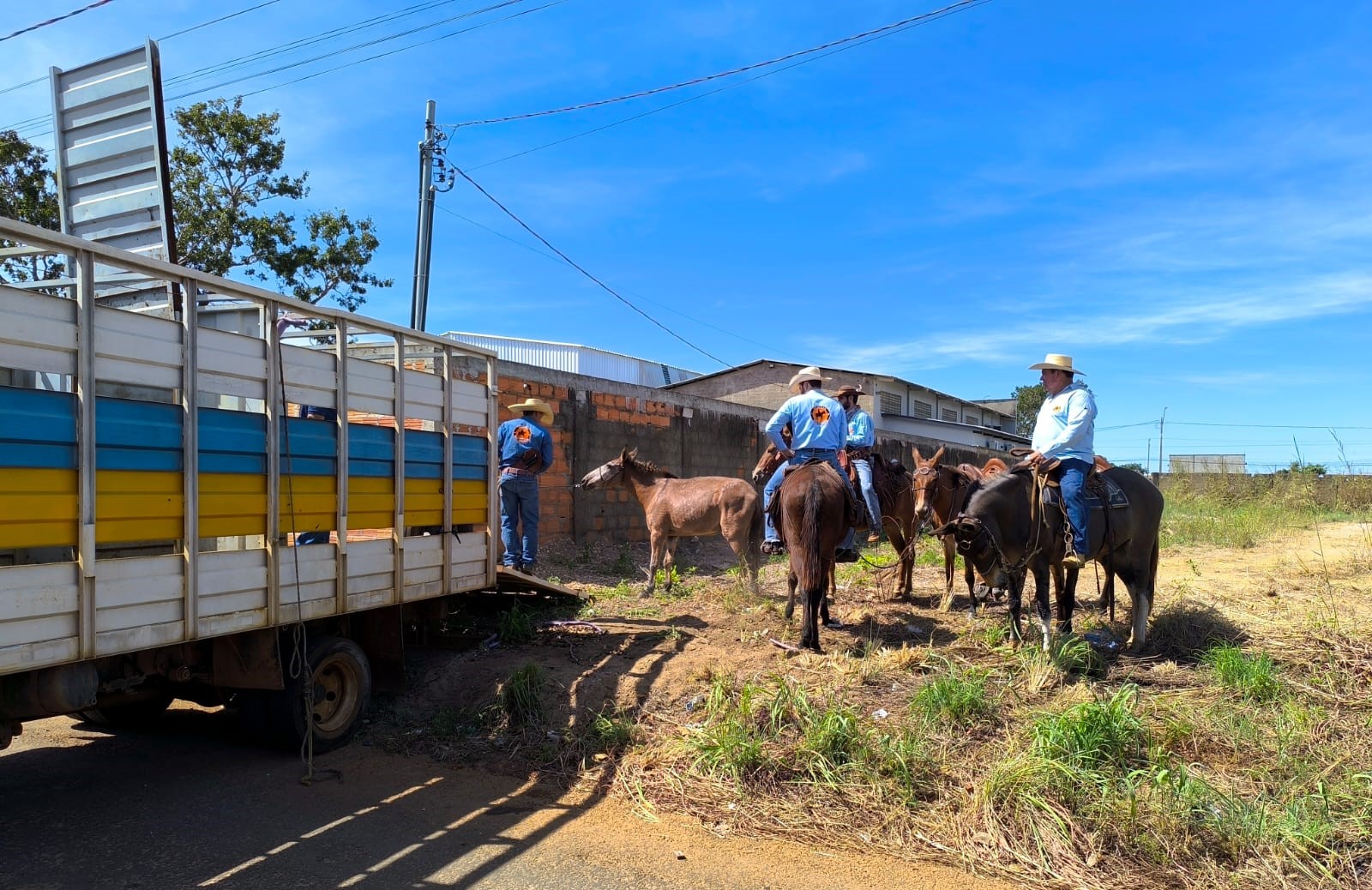 Prefeitura de Paraíso inicia recolhimento de animais soltos em vias públicas